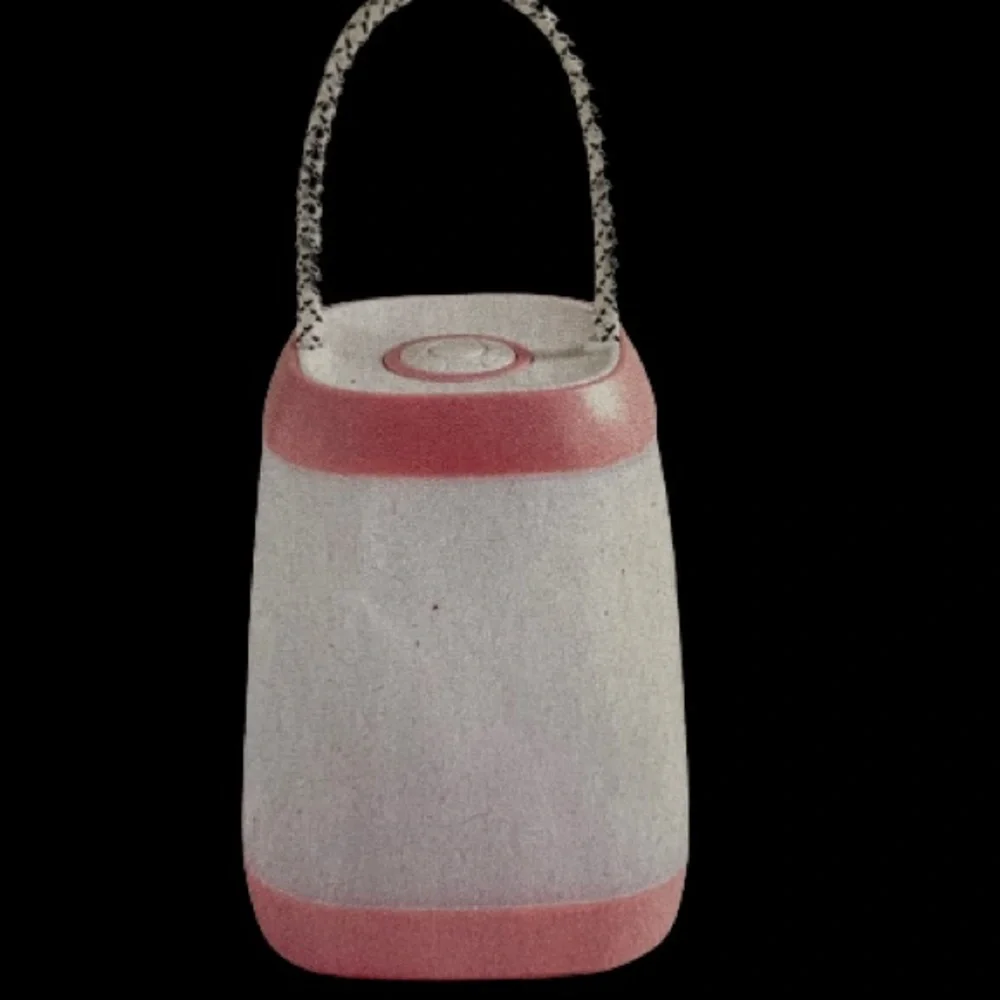 Indoor/Outdoor Mini LED Lantern White/Pink